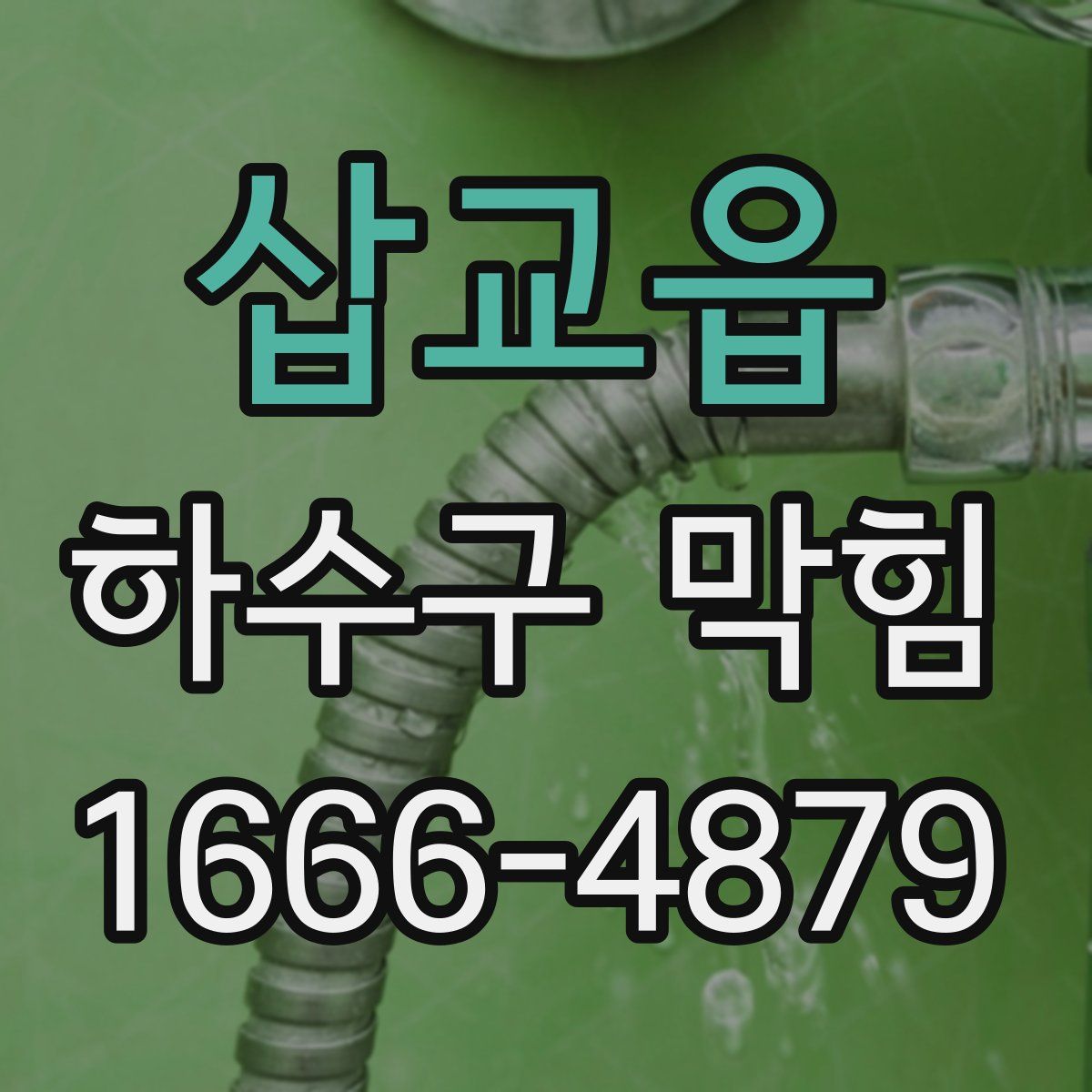 삽교읍 하수구 막힘
