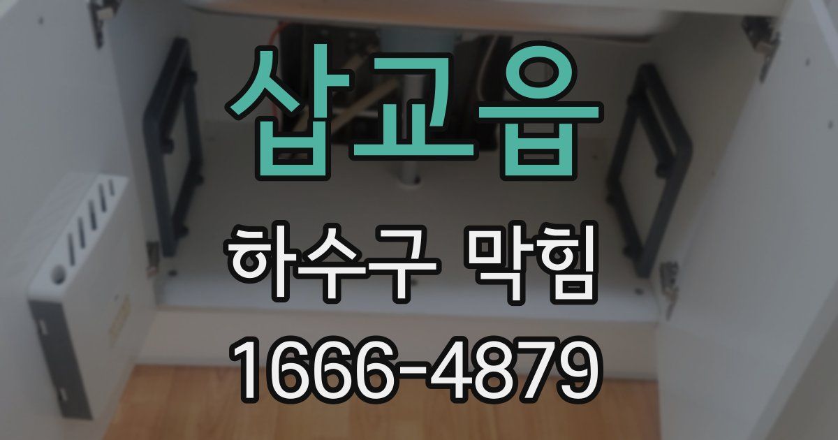 삽교읍 하수구 막힘
