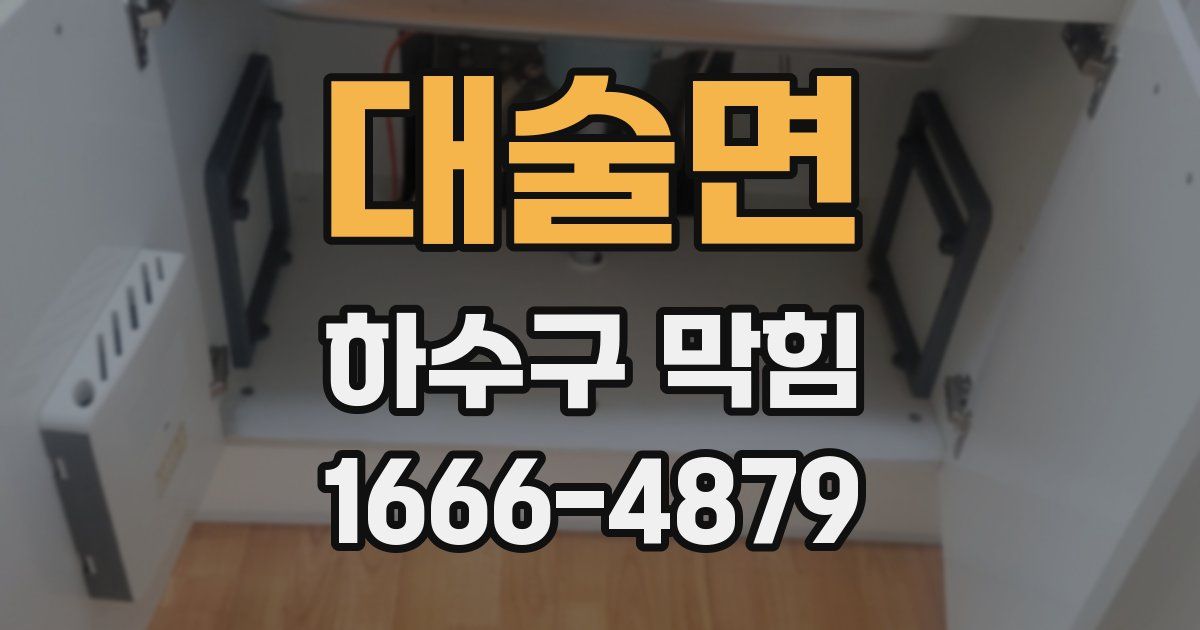 대술면 하수구 막힘
