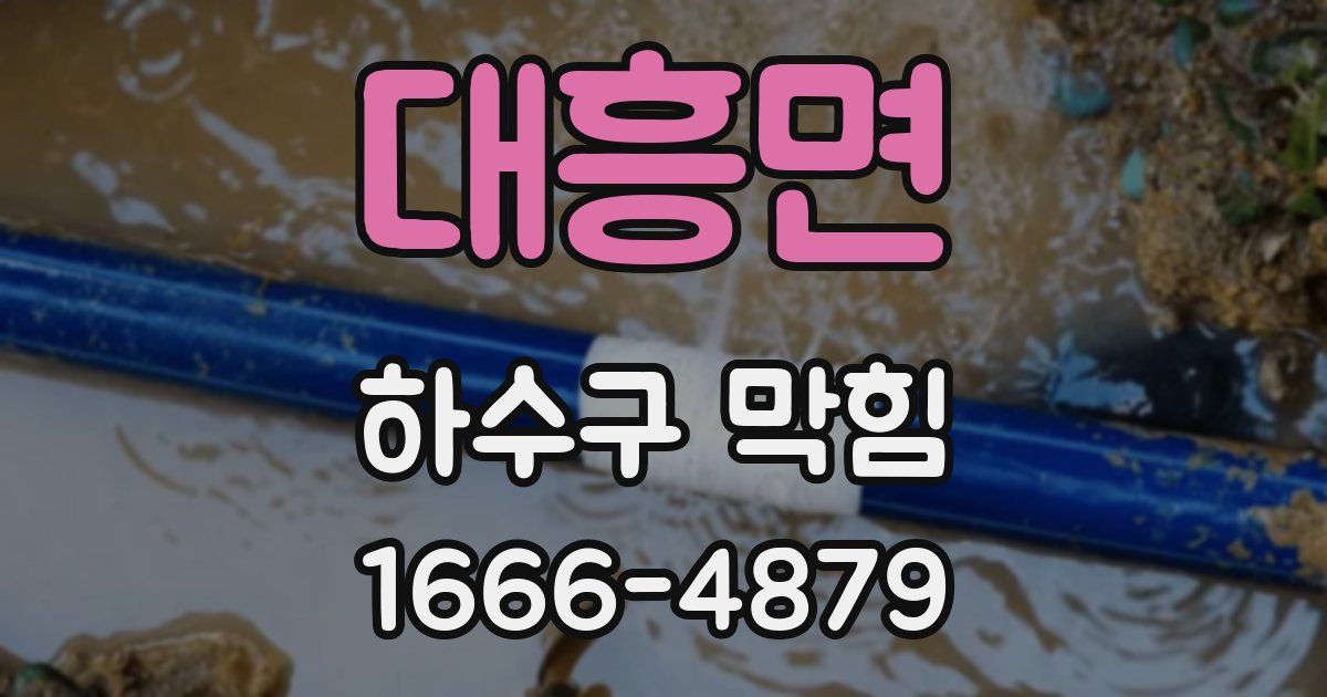 대흥면 하수구 막힘
