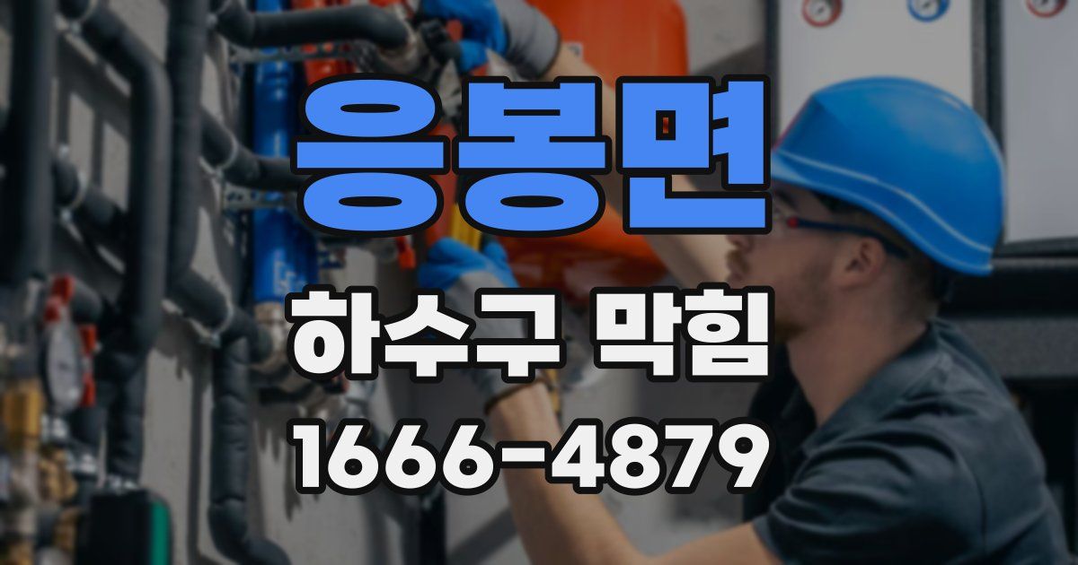 응봉면 하수구 막힘