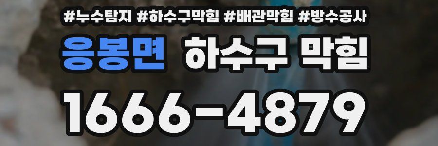 응봉면 하수구 막힘