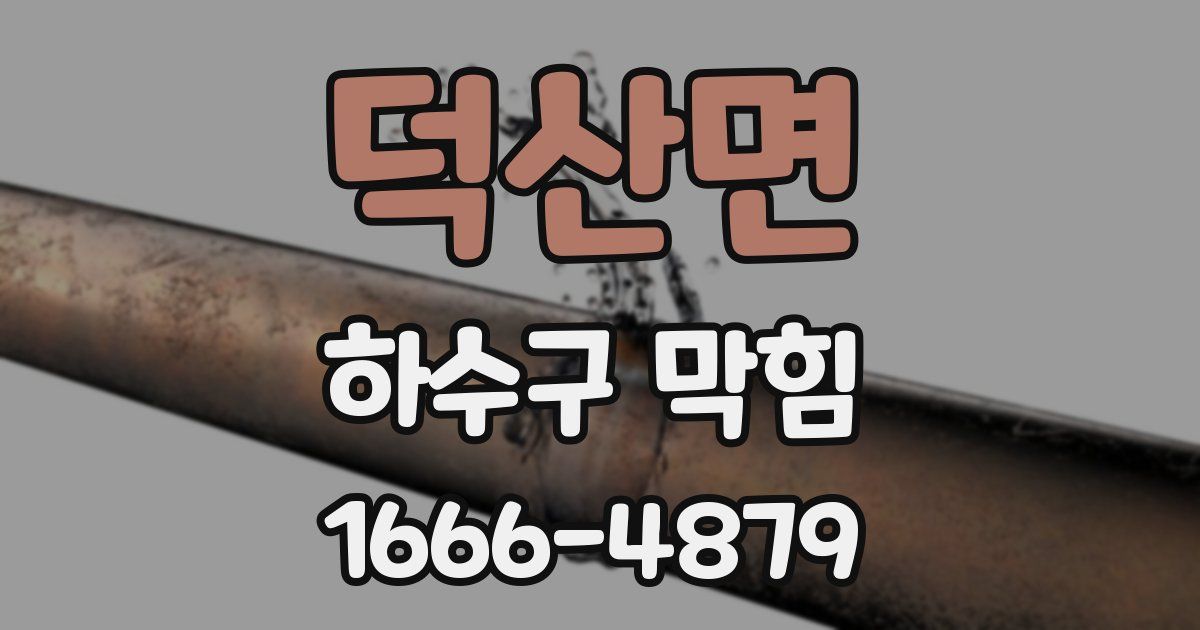 덕산면 하수구 막힘