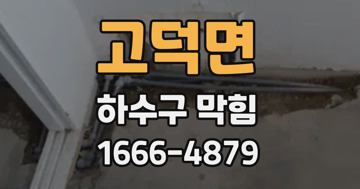 고덕면 하수구 막힘