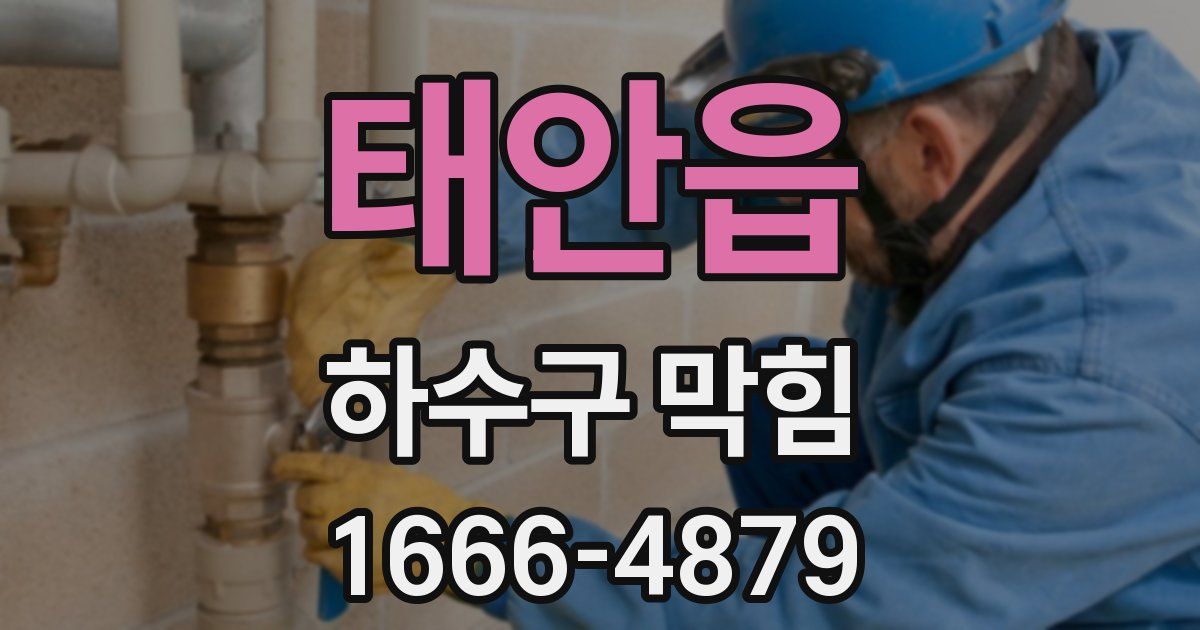 태안읍 하수구 막힘