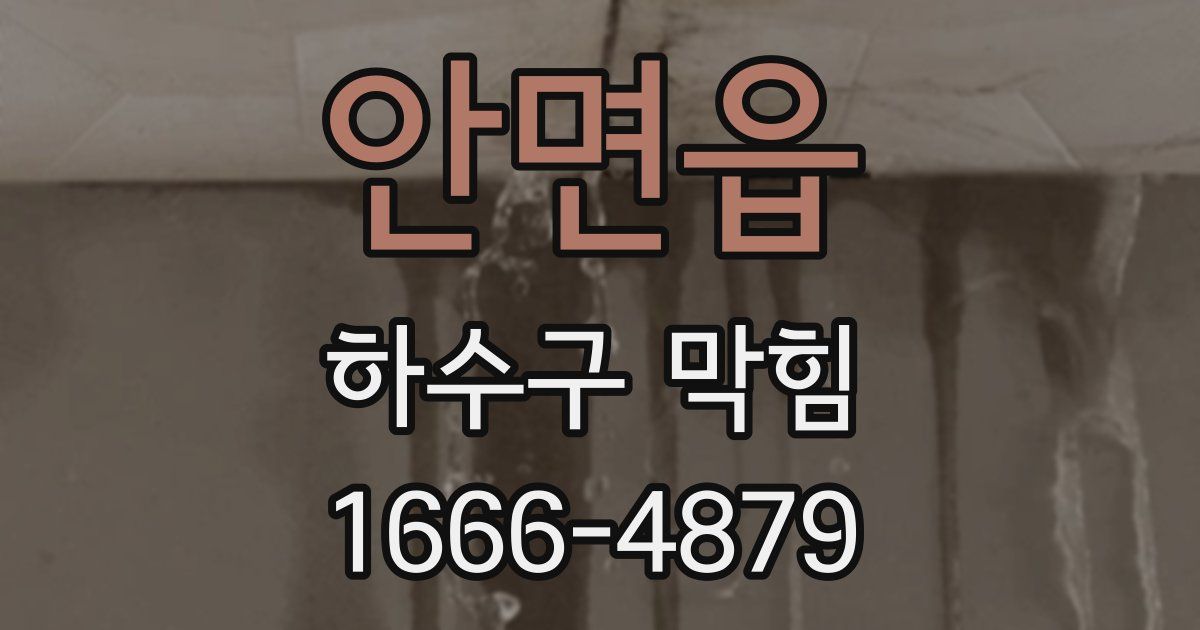 안면읍 하수구 막힘