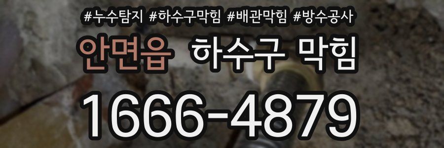 안면읍 하수구 막힘
