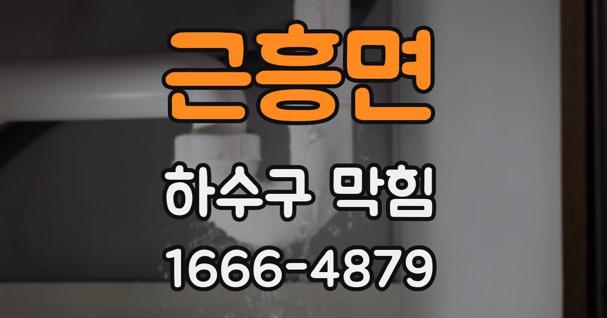 근흥면 하수구 막힘