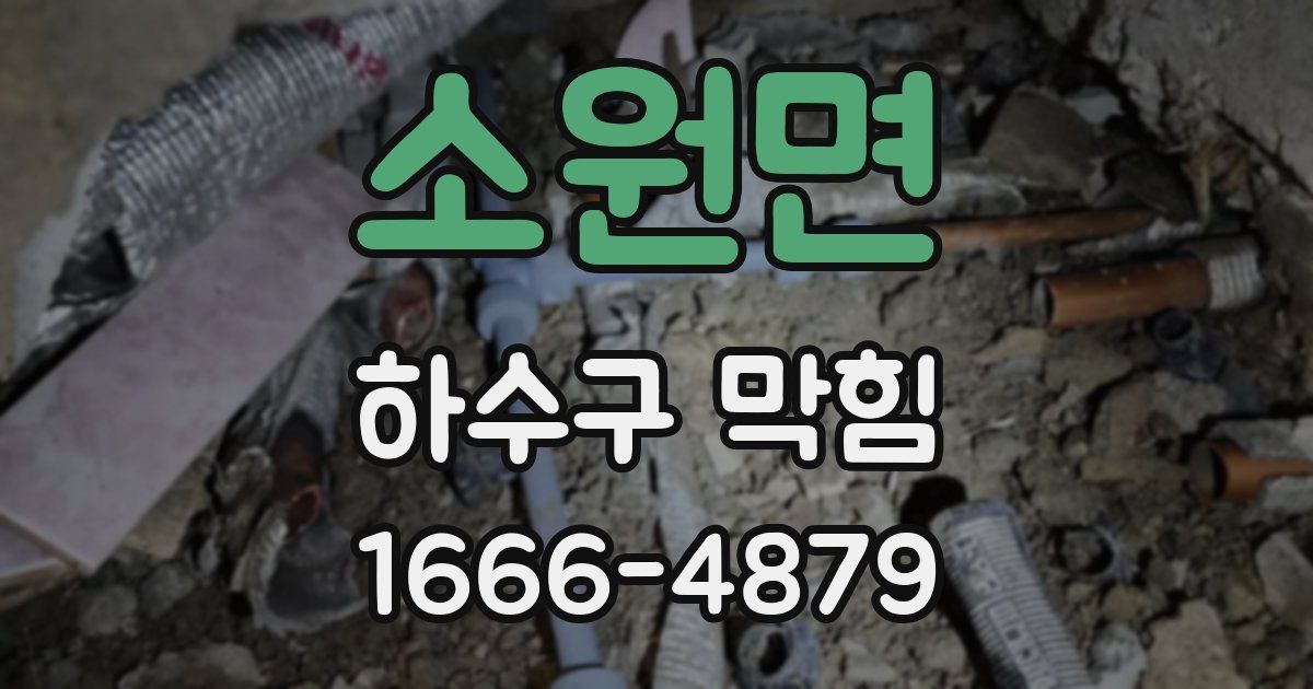 소원면 하수구 막힘