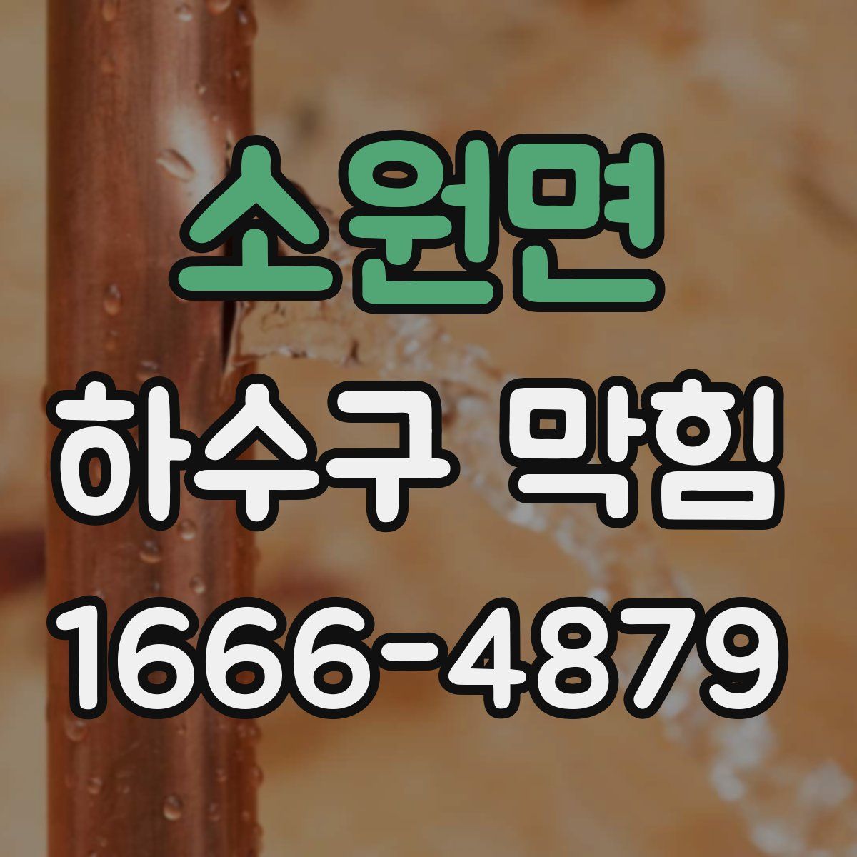 소원면 하수구 막힘