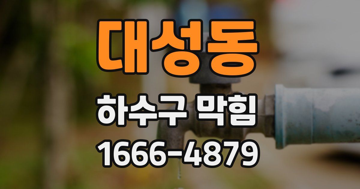 대성동 하수구 막힘
