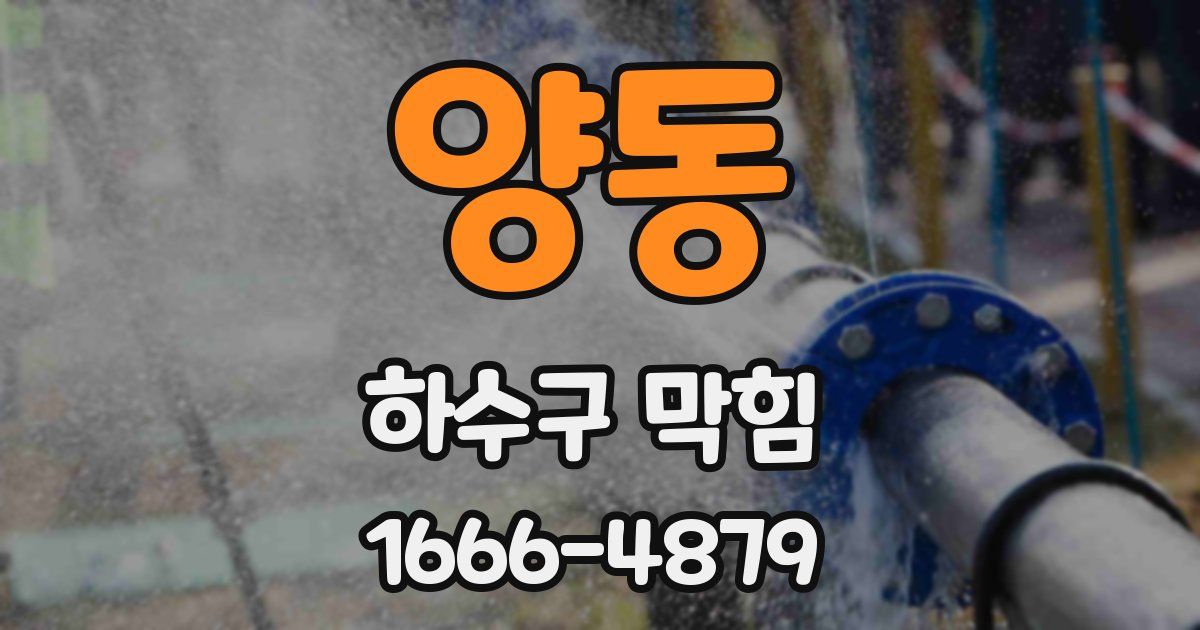 양동 하수구 막힘