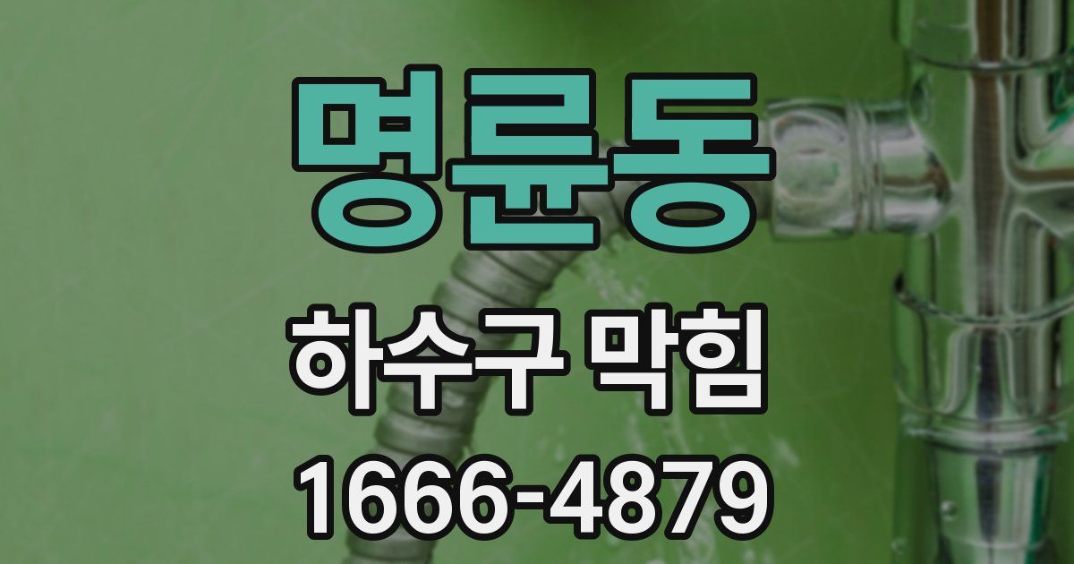 명륜동 하수구 막힘