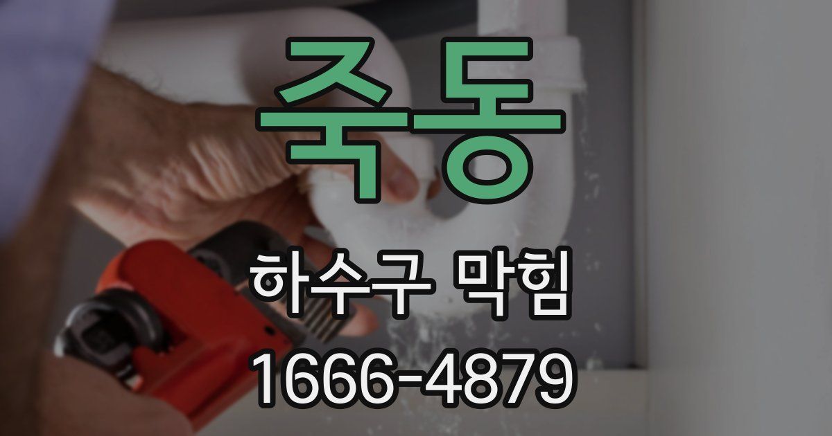 죽동 하수구 막힘
