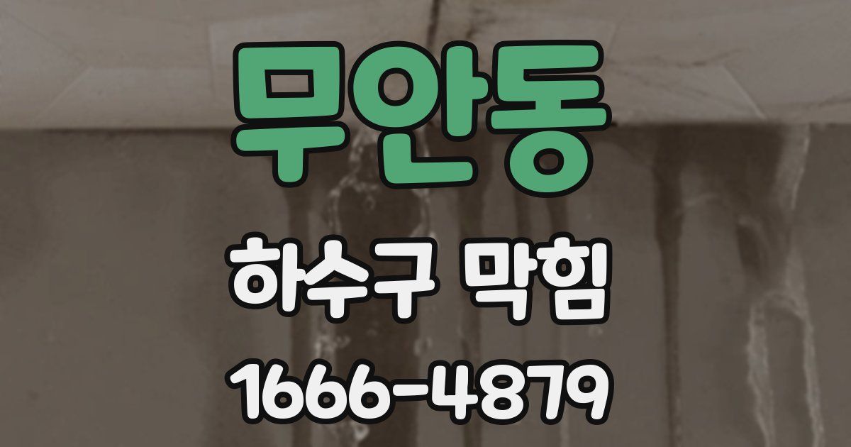 무안동 하수구 막힘