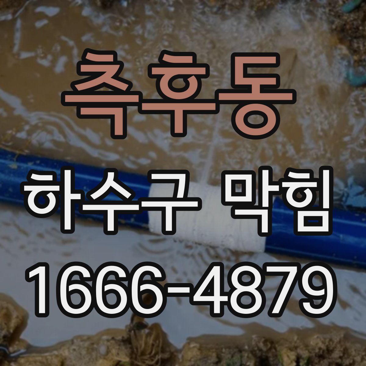 측후동 하수구 막힘