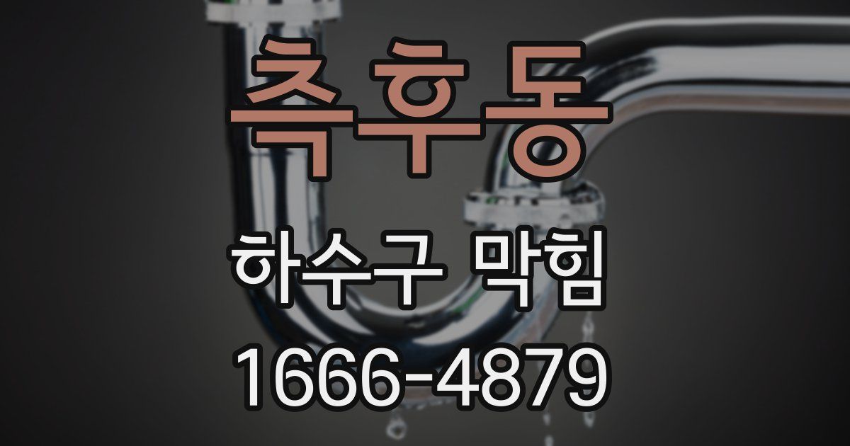 측후동 하수구 막힘