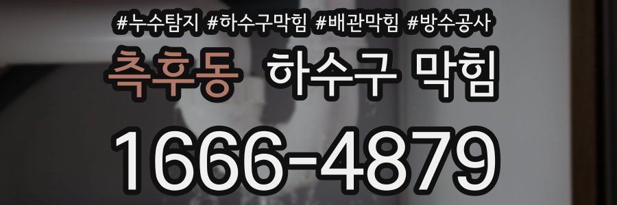 측후동 하수구 막힘