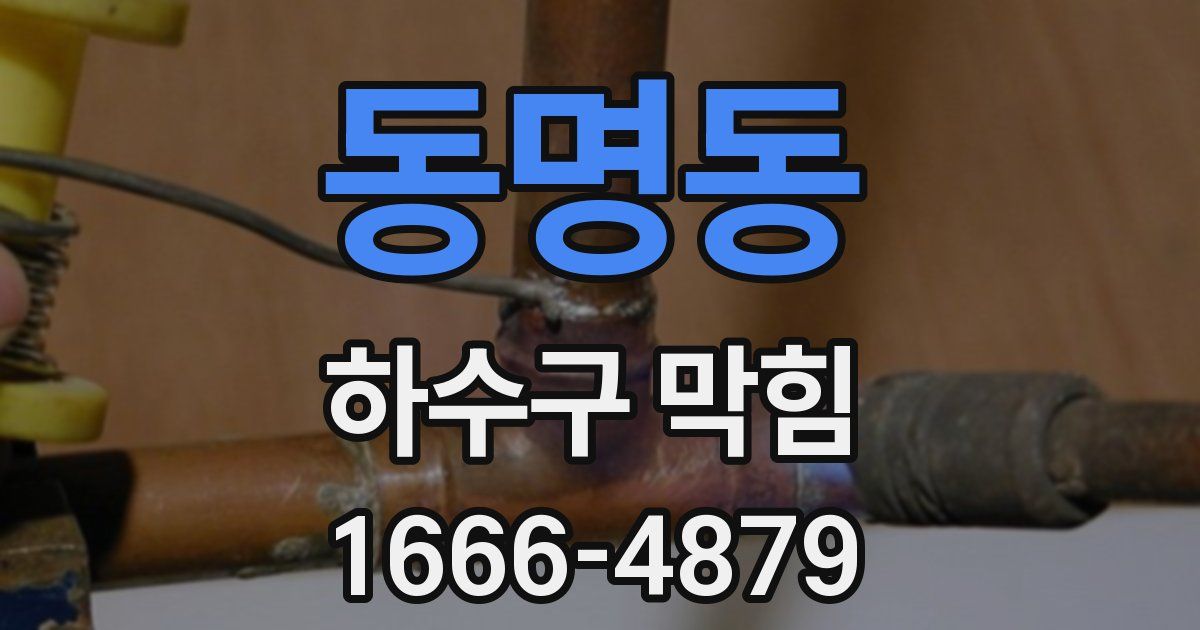 동명동 하수구 막힘
