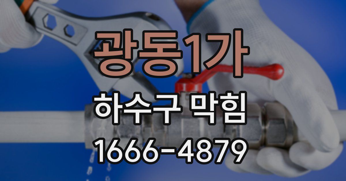 광동1가 하수구 막힘