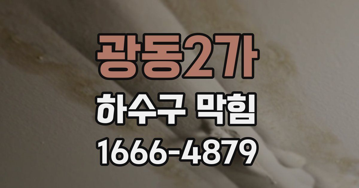 광동2가 하수구 막힘