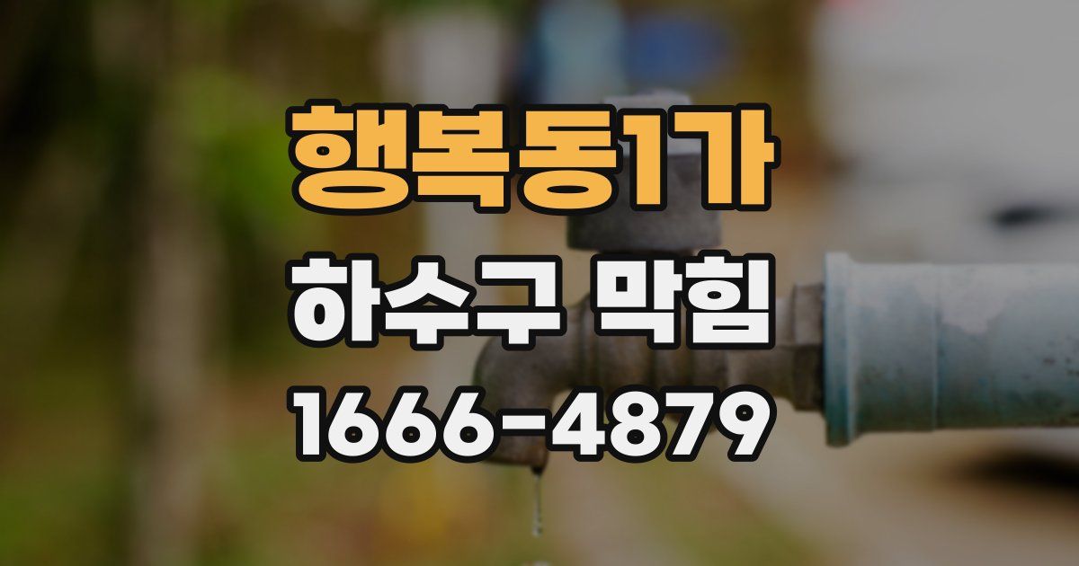 행복동1가 하수구 막힘