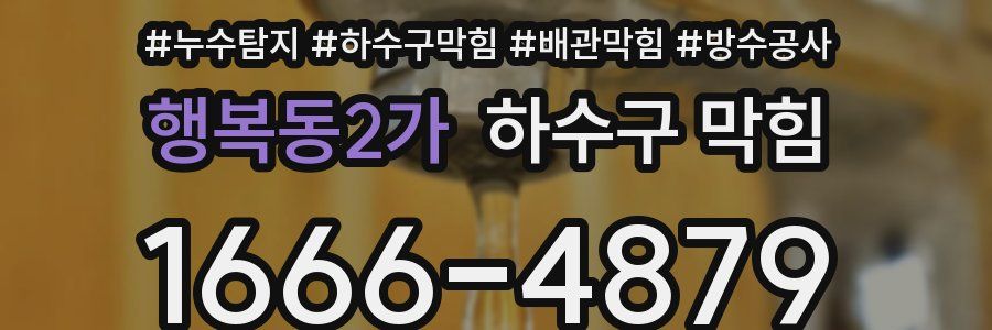 행복동2가 하수구 막힘