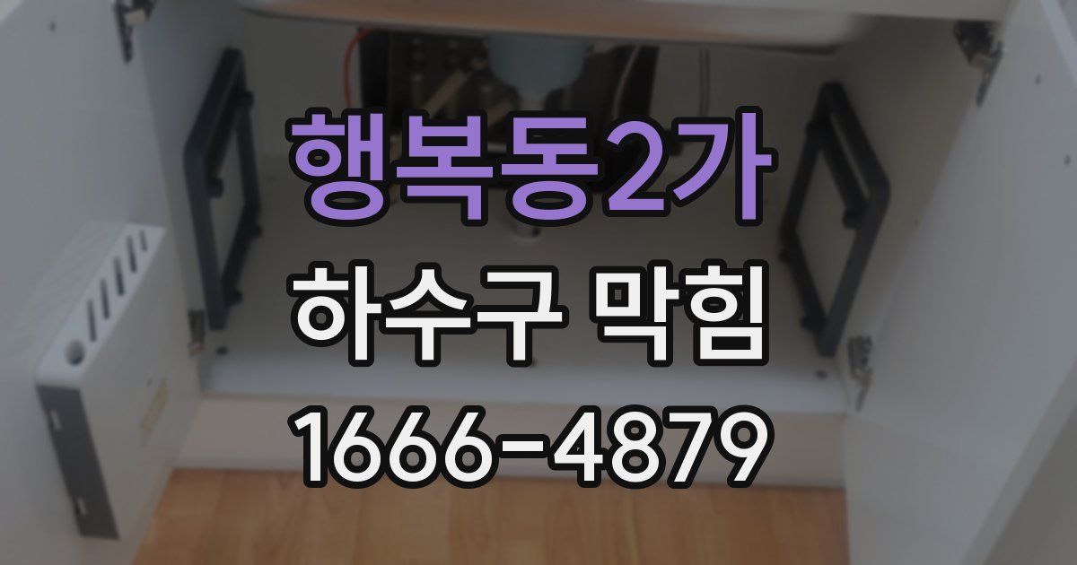 행복동2가 하수구 막힘