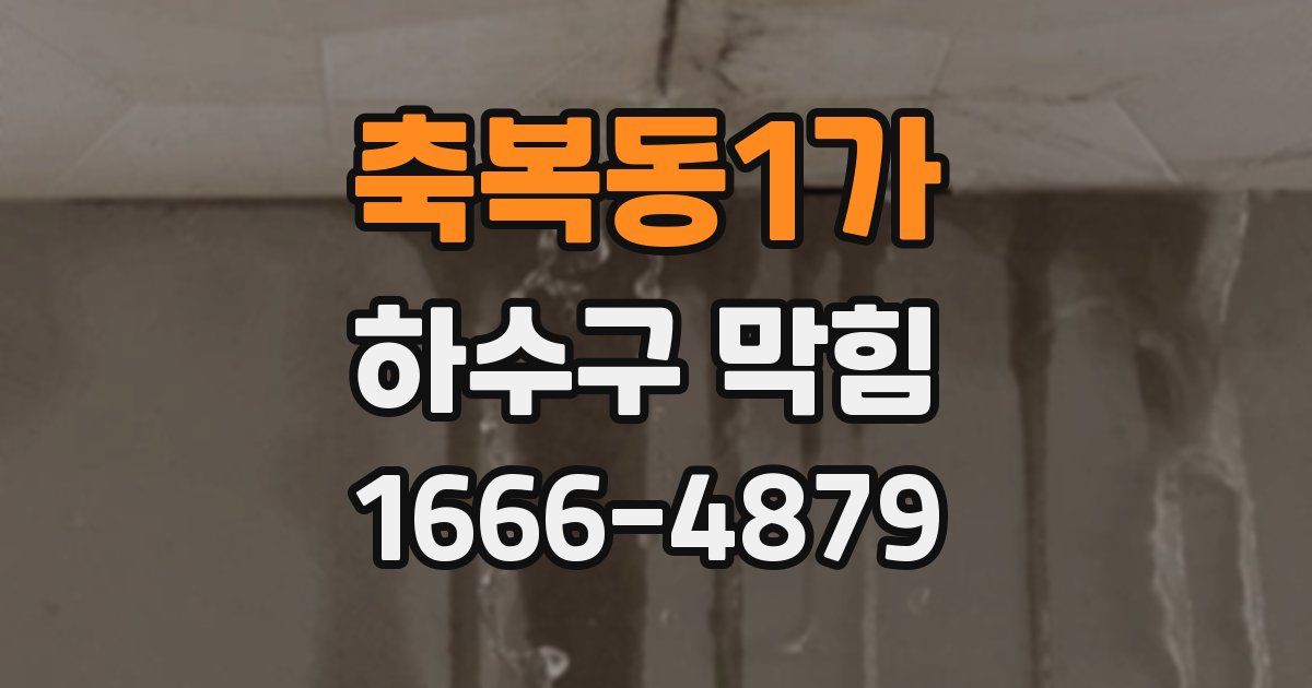 축복동1가 하수구 막힘