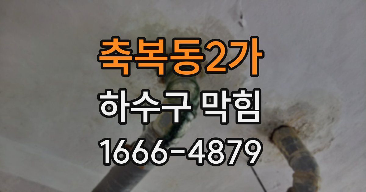 축복동2가 하수구 막힘