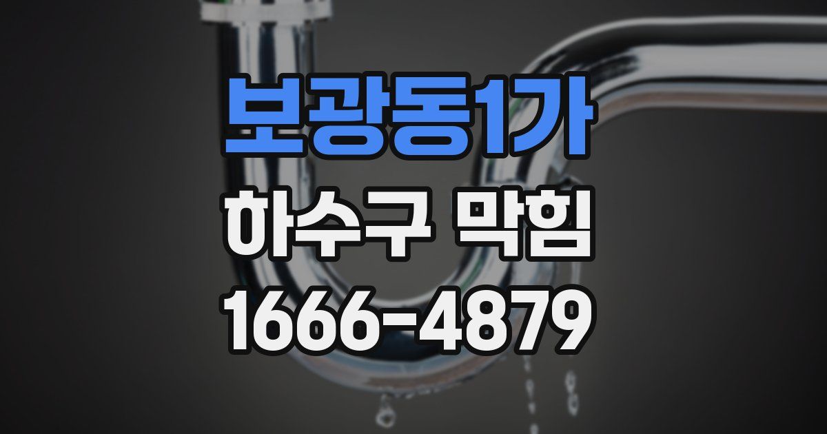 보광동1가 하수구 막힘