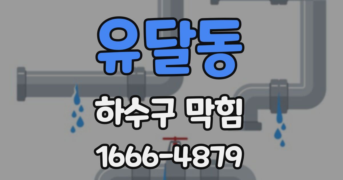 유달동 하수구 막힘