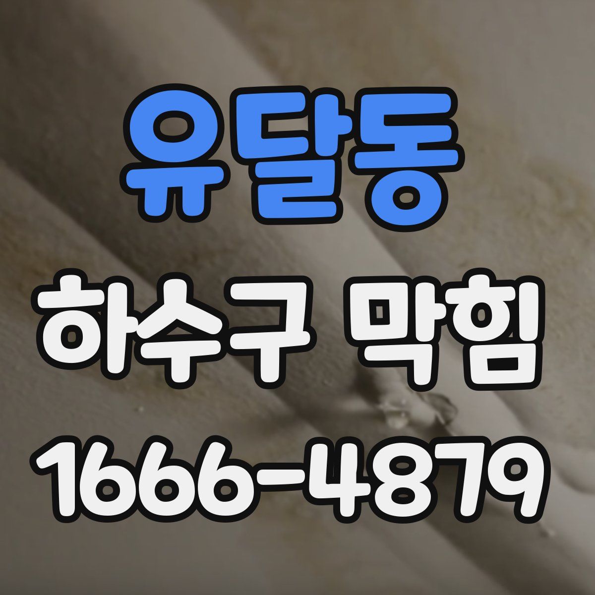 유달동 하수구 막힘