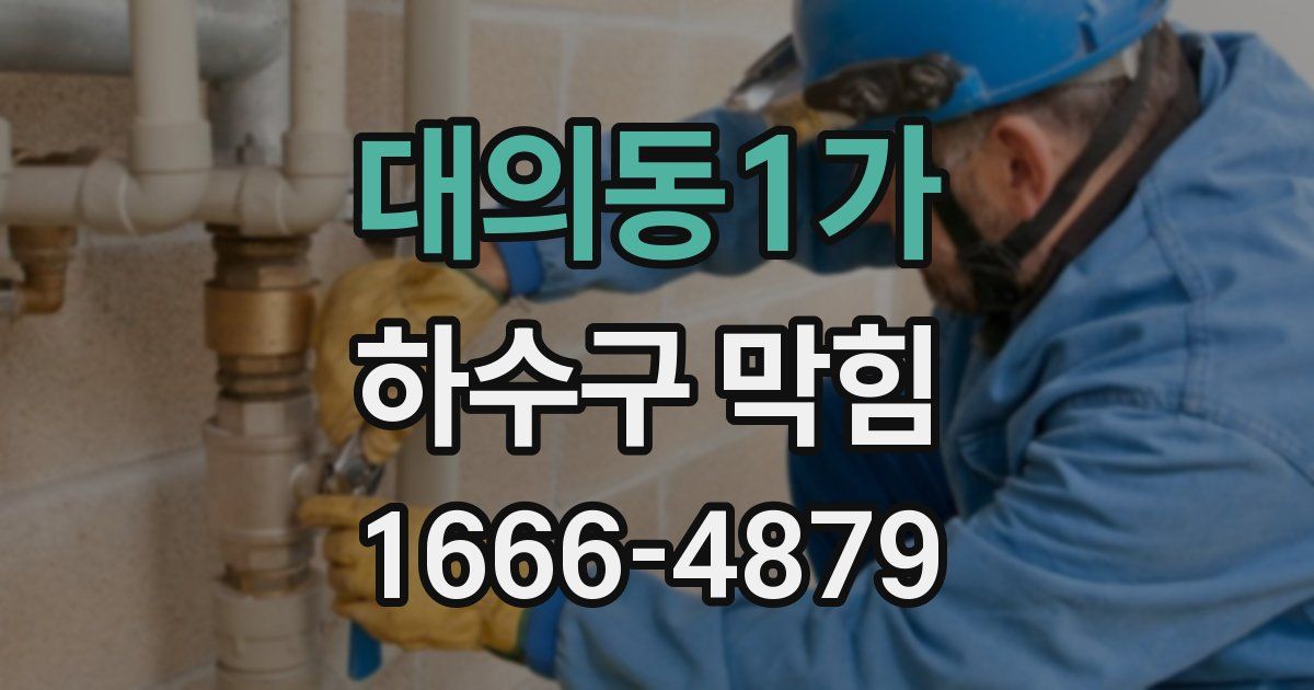 대의동1가 하수구 막힘