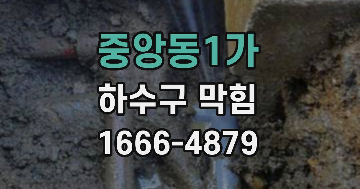 중앙동1가 하수구 막힘