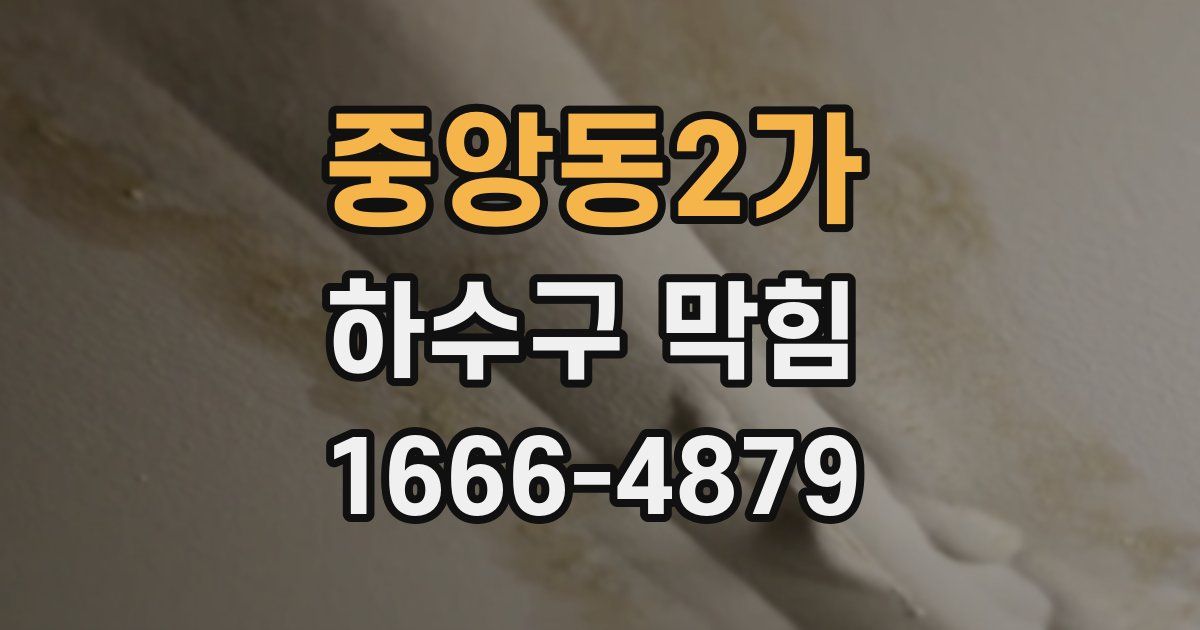 중앙동2가 하수구 막힘