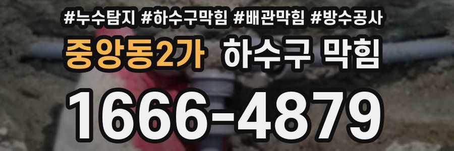 중앙동2가 하수구 막힘