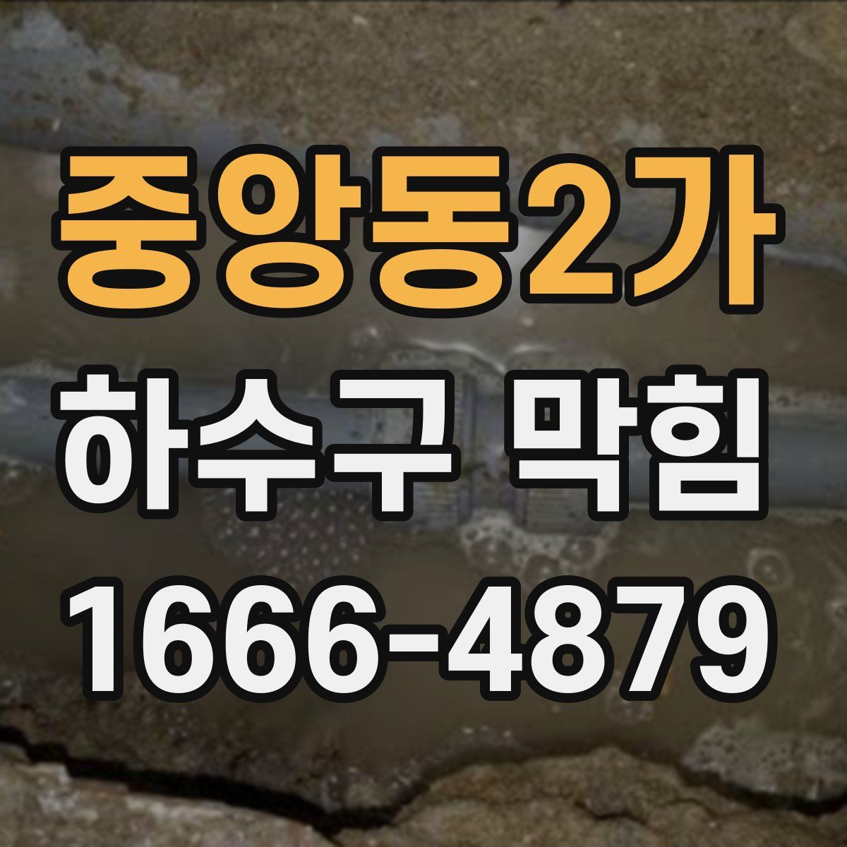 중앙동2가 하수구 막힘