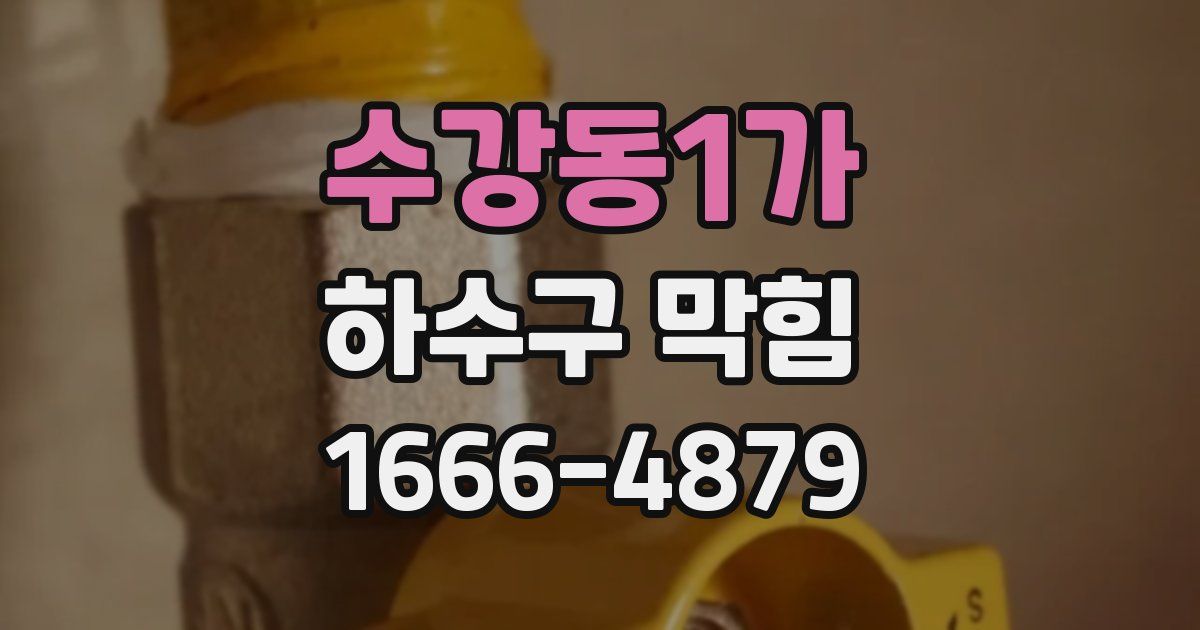 수강동1가 하수구 막힘