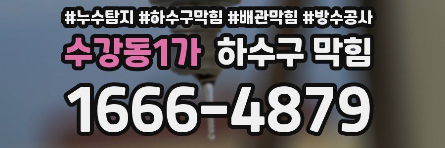 수강동1가 하수구 막힘