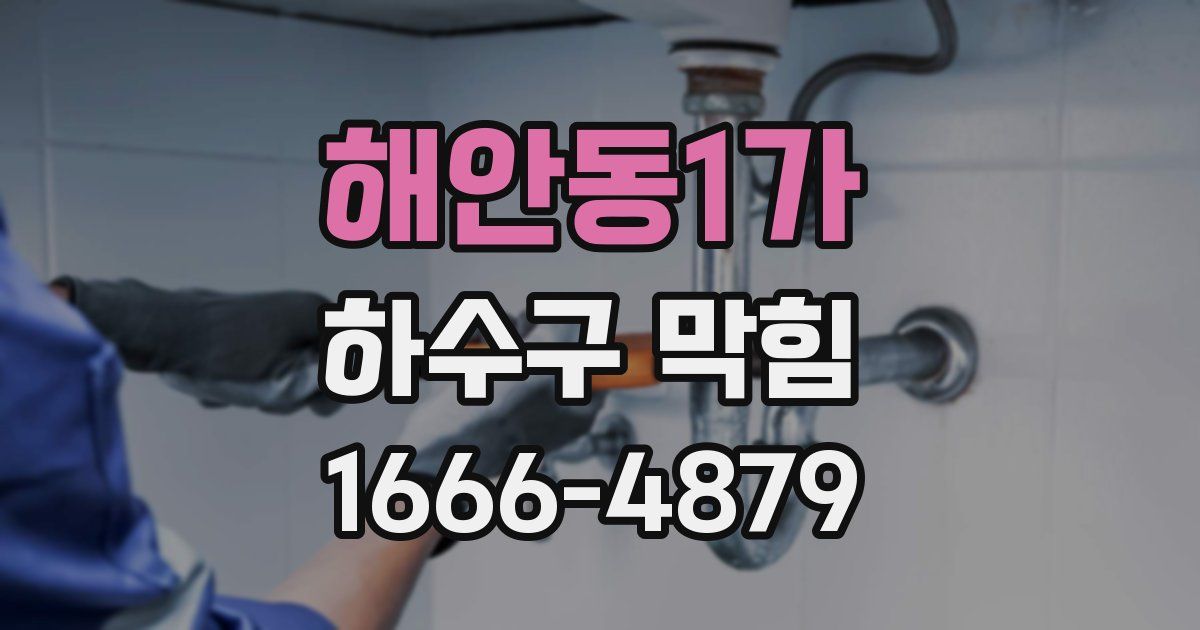 해안동1가 하수구 막힘