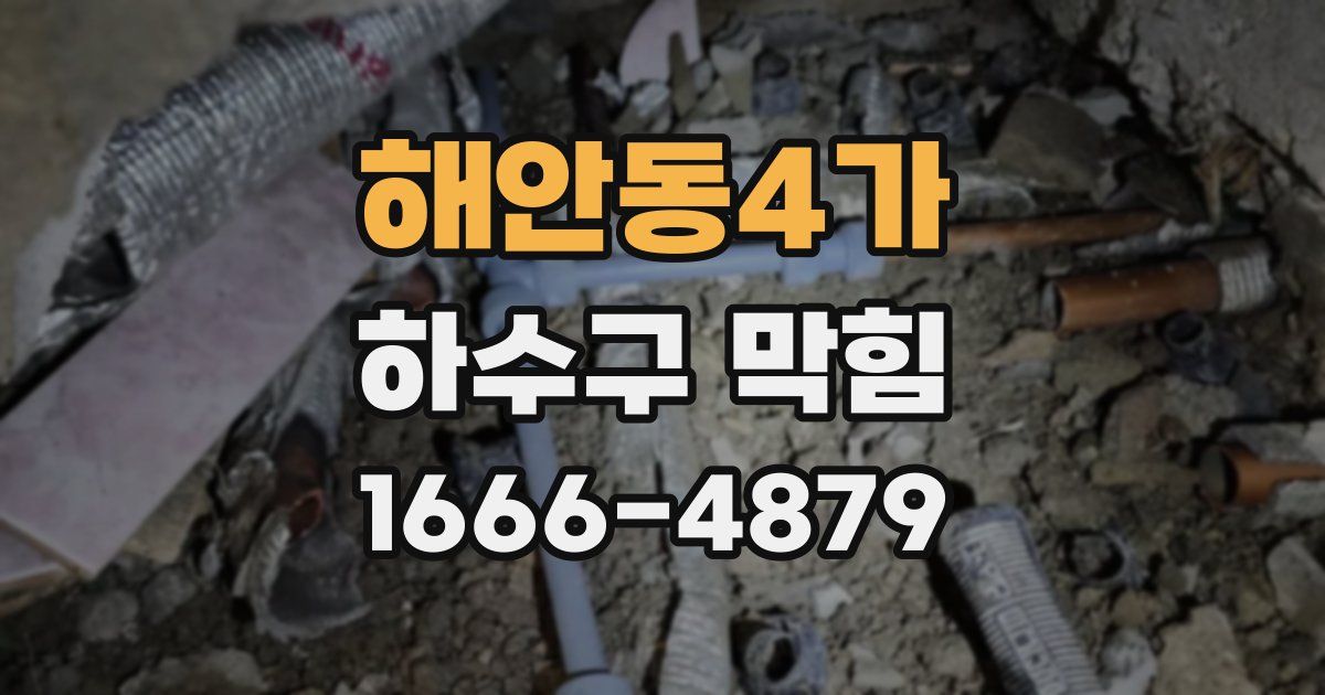 해안동4가 하수구 막힘