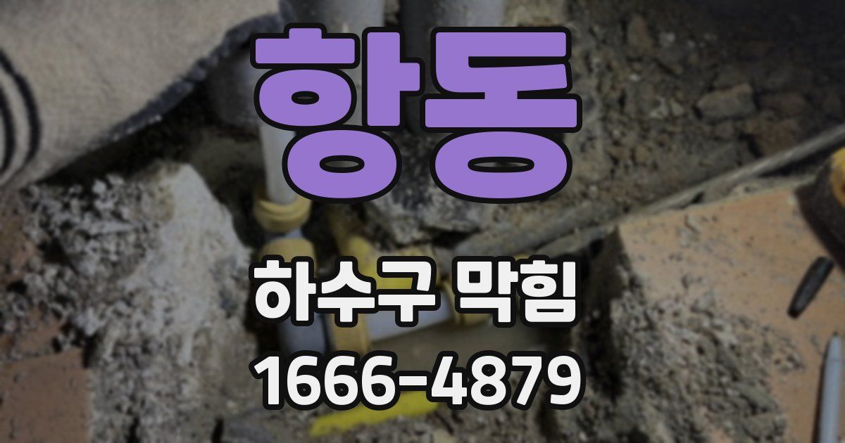 항동 하수구 막힘