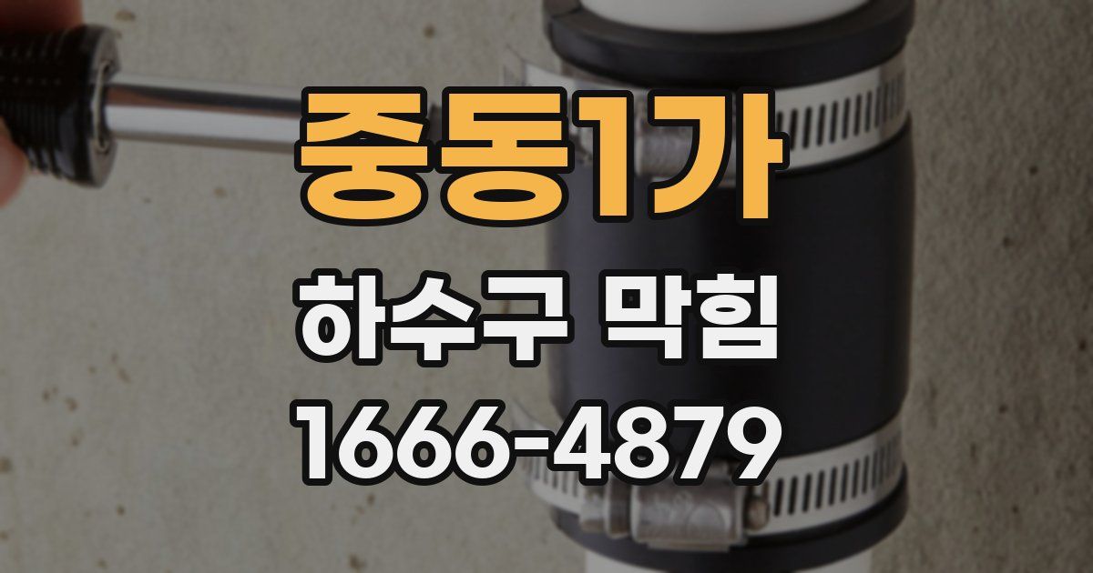 중동1가 하수구 막힘