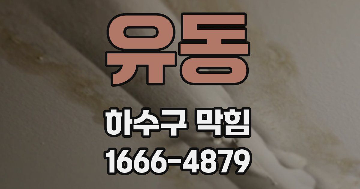 유동 하수구 막힘