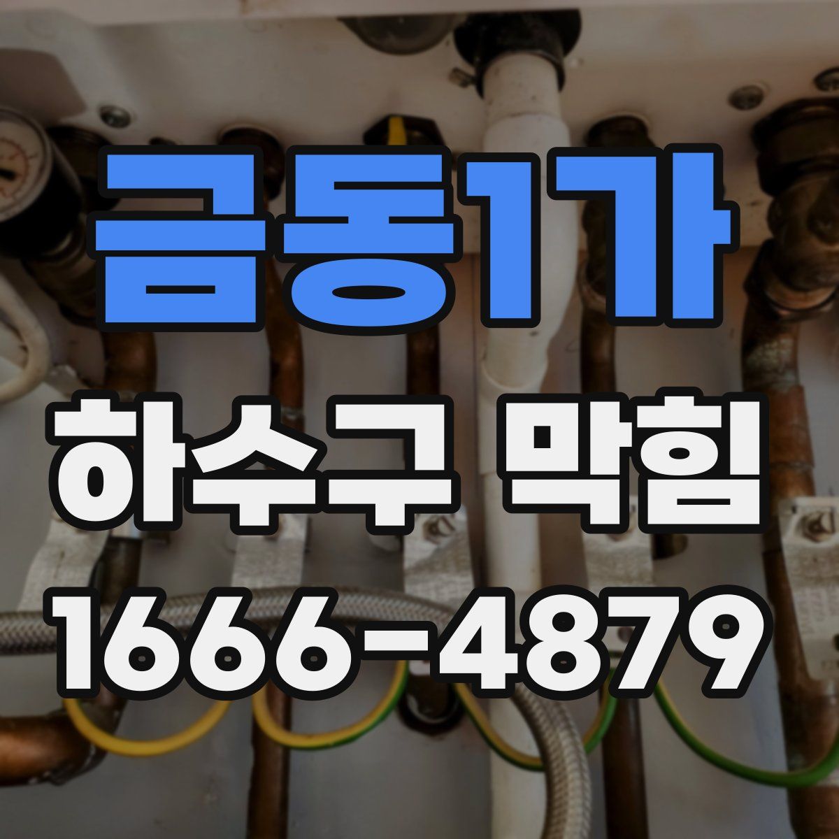 금동1가 하수구 막힘