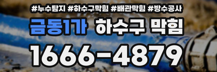 금동1가 하수구 막힘