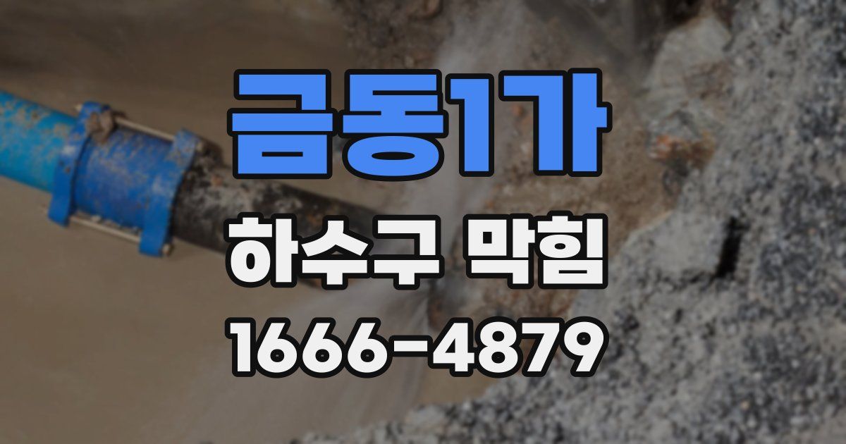 금동1가 하수구 막힘