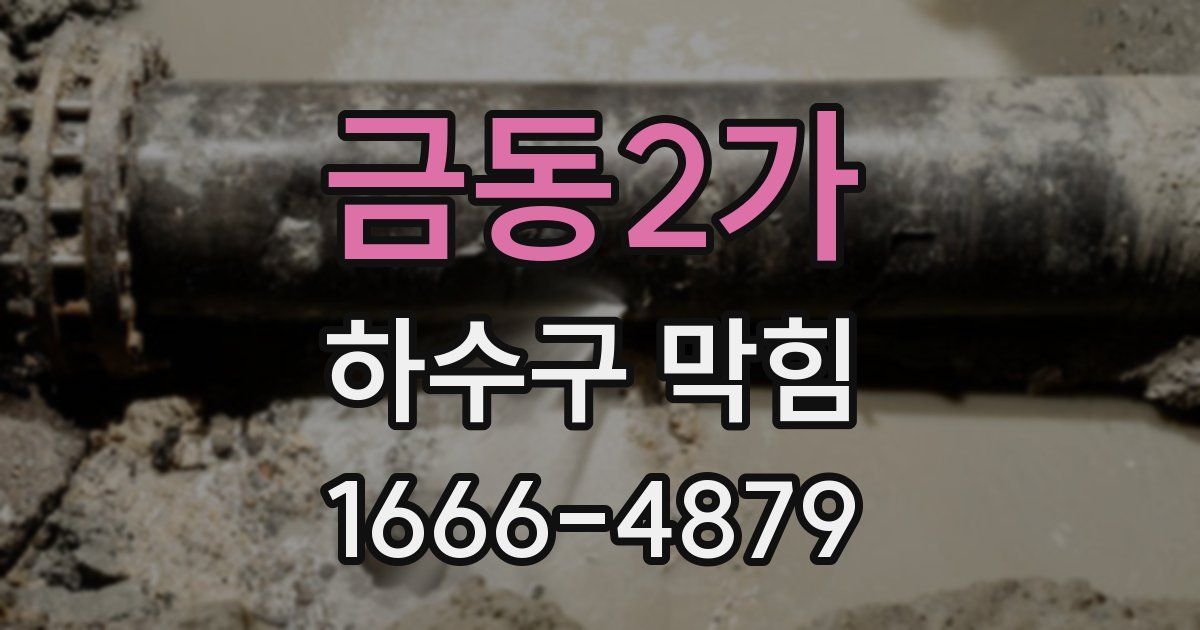 금동2가 하수구 막힘