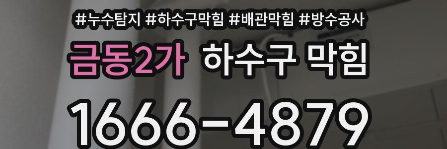 금동2가 하수구 막힘